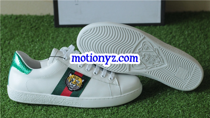 GC Ace Embroidered Sneaker Low Top Tiger